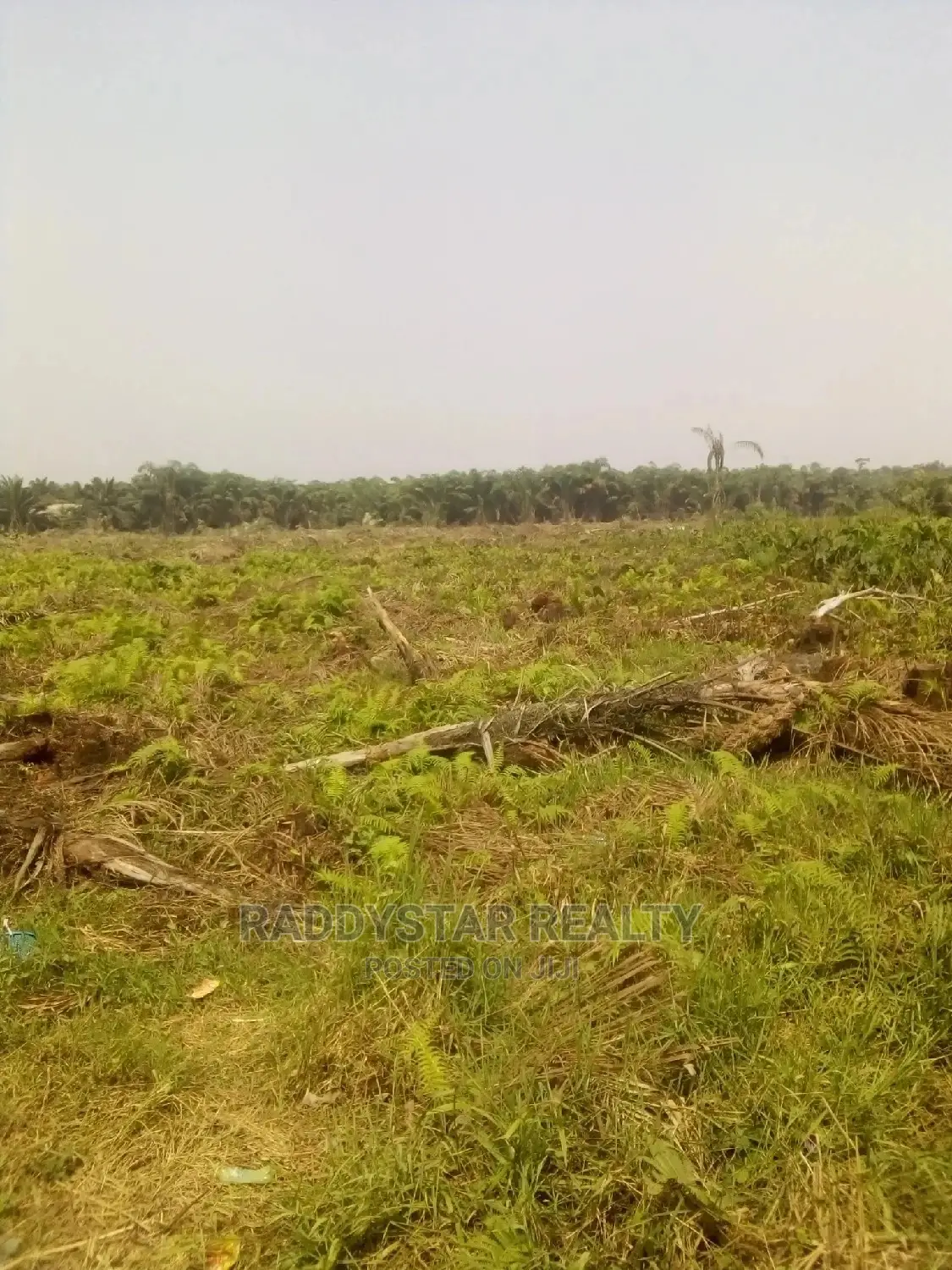 Celebrity Haven Isawo, Agric Bus Stop, Ikorodu, Lagos in Agric