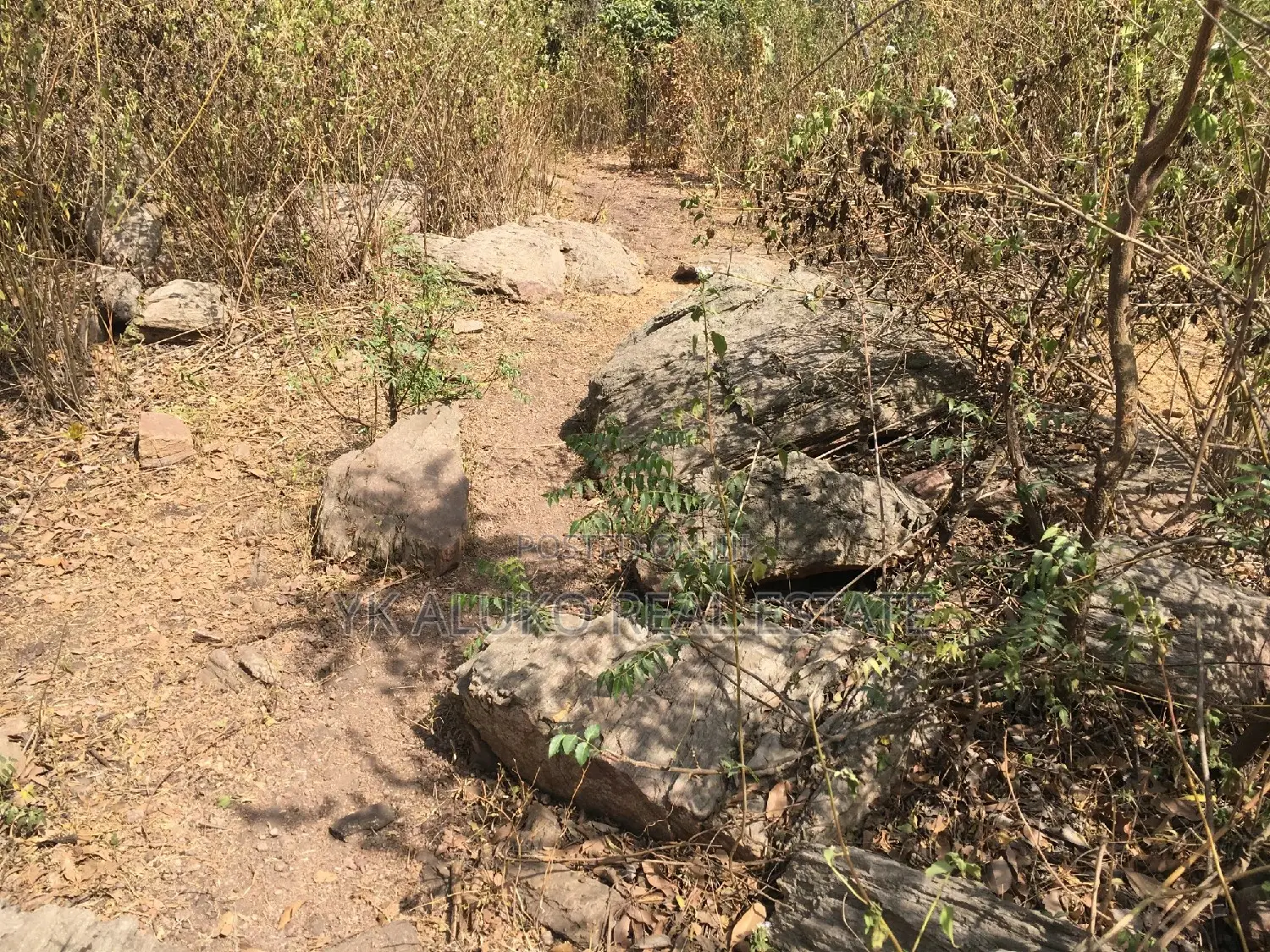 Hectares Of Land At Kwara State For Sale in Irepodun-Kwara