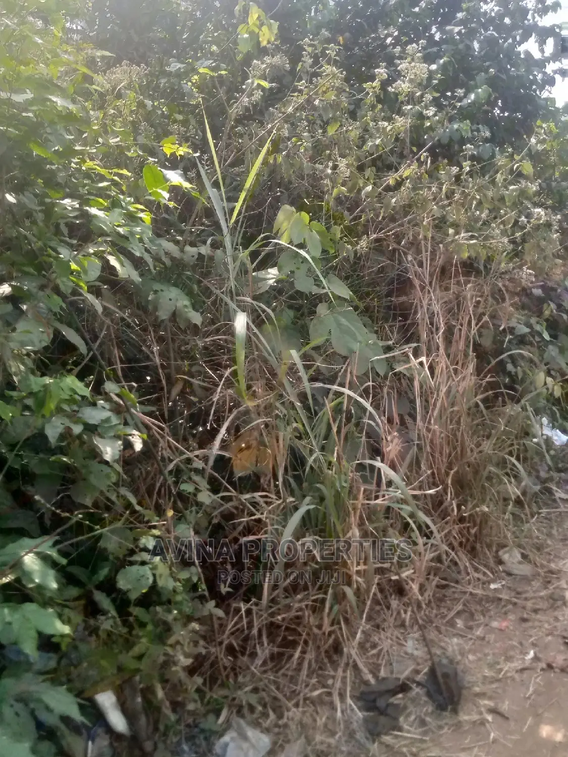 30 Plot's Of Land For Sale In Eziobodo in Owerri