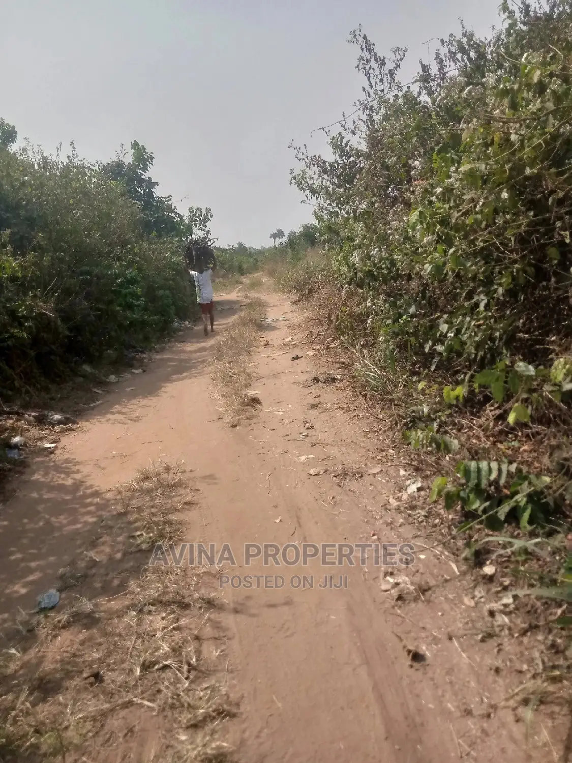 30 Plot's Of Land For Sale In Eziobodo in Owerri