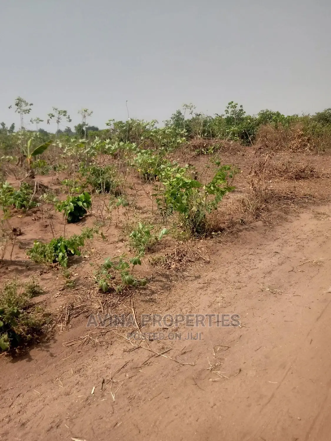 30 Plot's Of Land For Sale In Eziobodo in Owerri