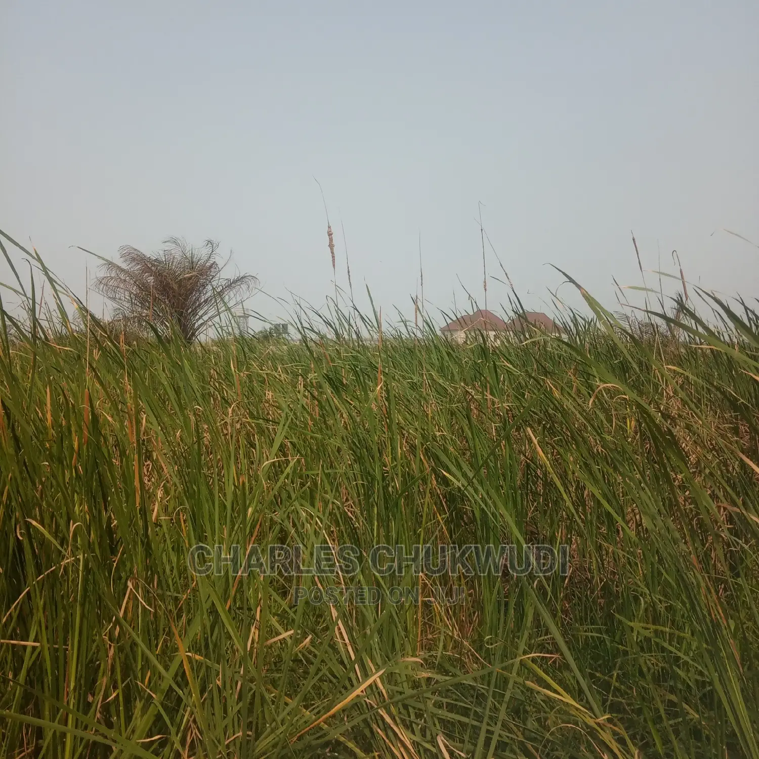 Plots of Land Beside Lekki Gardens Phase 2 Abraham Adasaya. in Ibeju