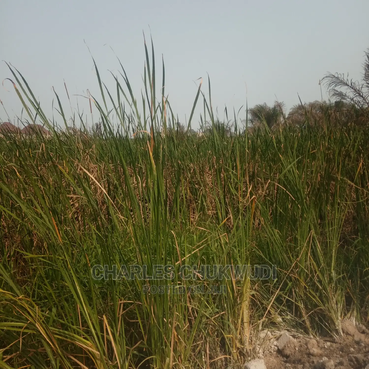 Plots of Land Beside Lekki Gardens Phase 2 Abraham Adasaya. in Ibeju