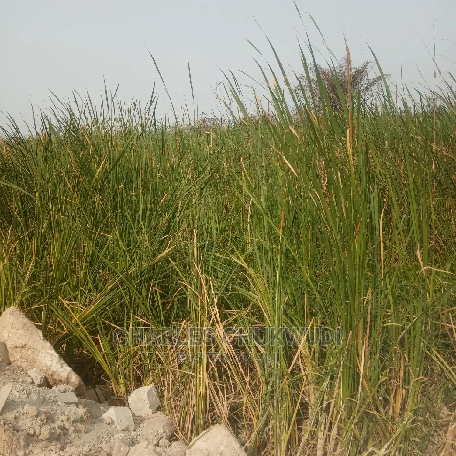 Plots of Land Beside Lekki Gardens Phase 2 Abraham Adasaya. in Ibeju