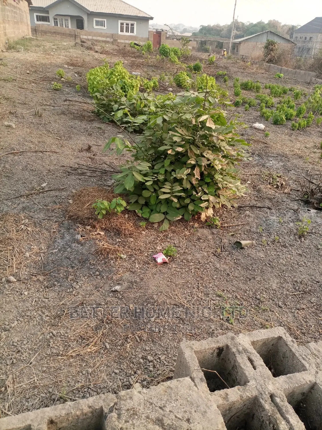 Full Old Standard Measure Plot of Land With Register Survey in Oluyole