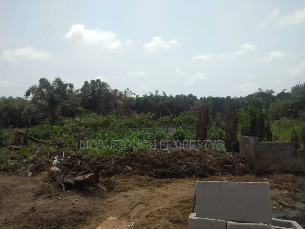 10 Plots of Land Together For Sale at Ijedodo Ijegun in Ijegun