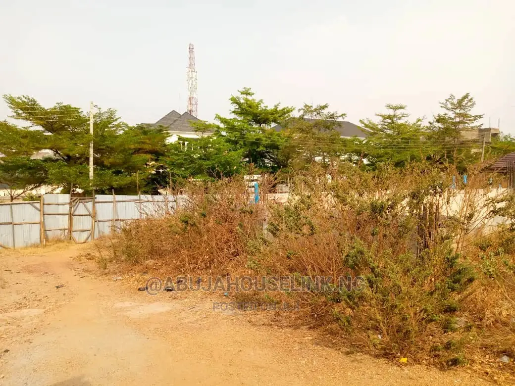 Plots With Documents For Sale At Asokoro Abuja in Asokoro