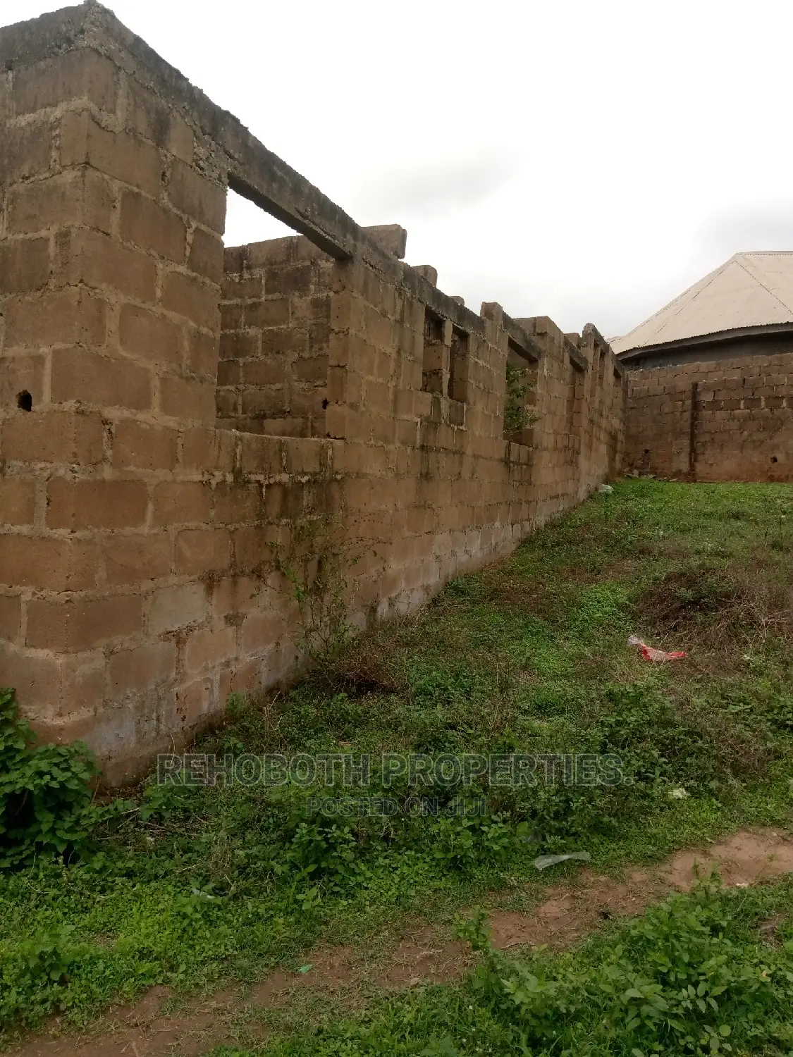 Survey Only in Ibadan