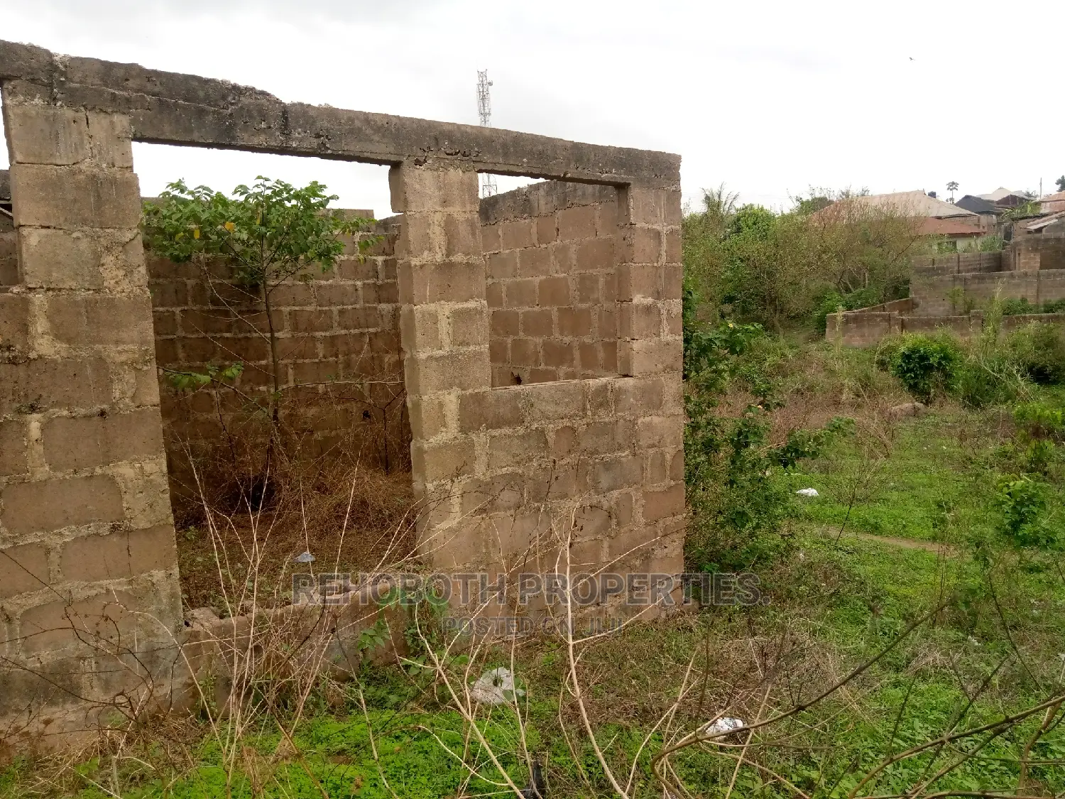 Survey Only in Ibadan