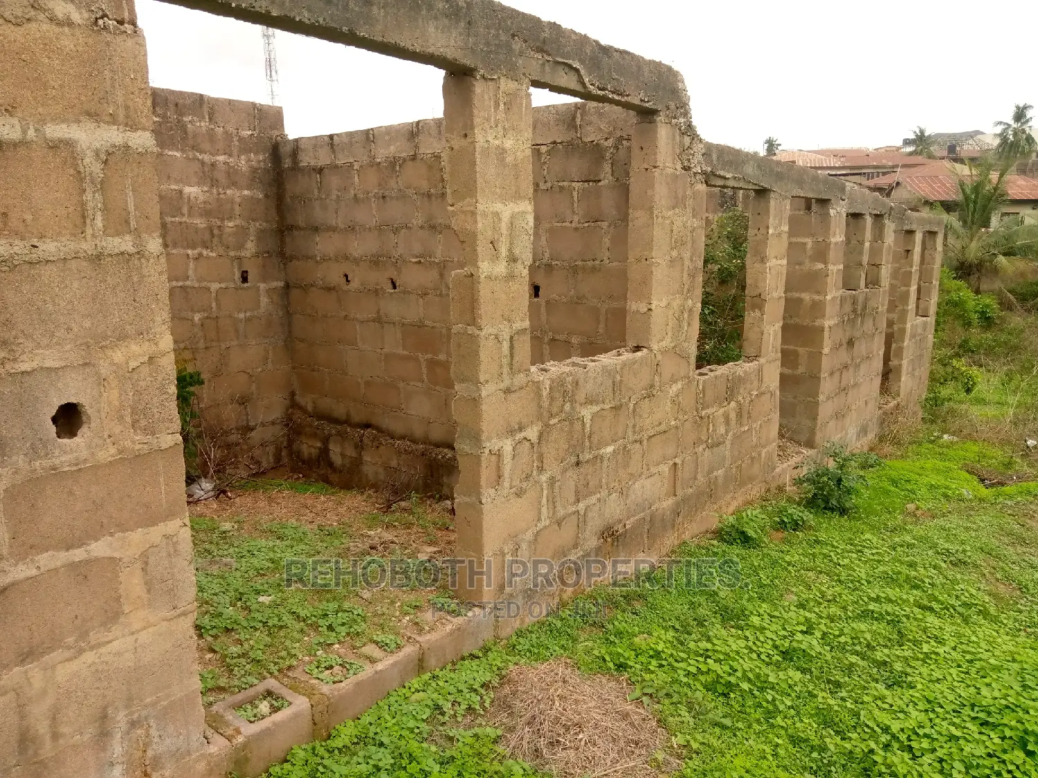 Survey Only in Ibadan