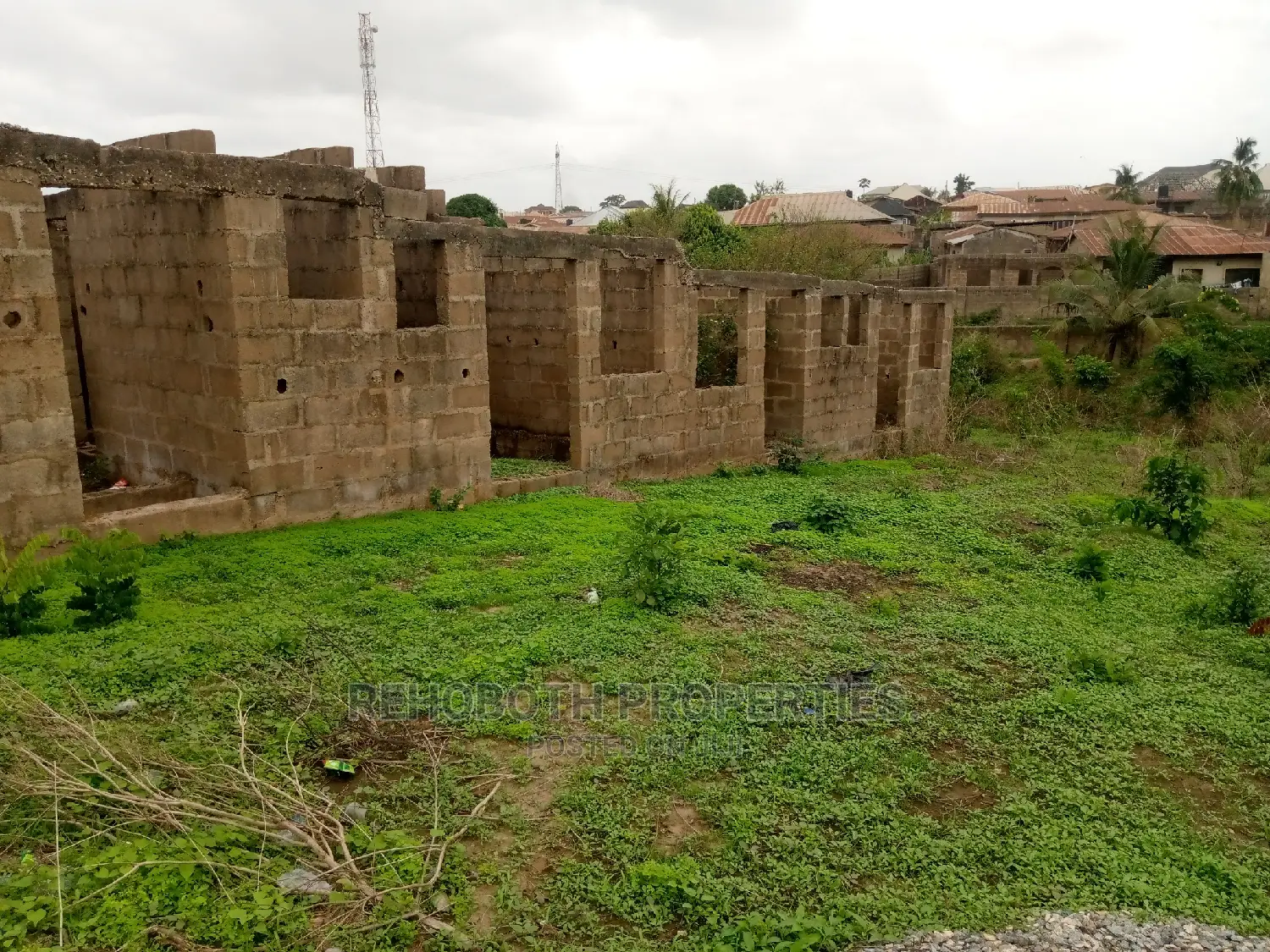 Survey Only in Ibadan