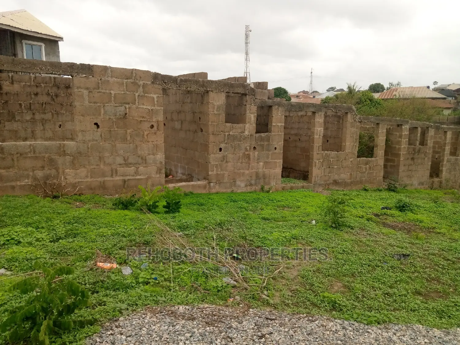 Survey Only in Ibadan