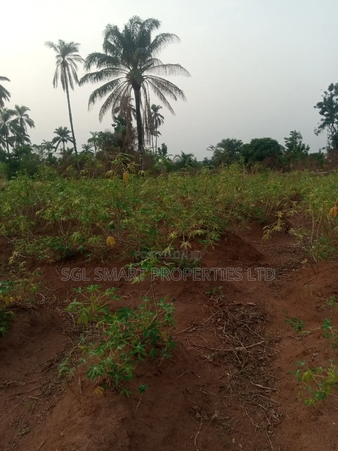 4 Plots of Land for Sale at Amansee in Awka