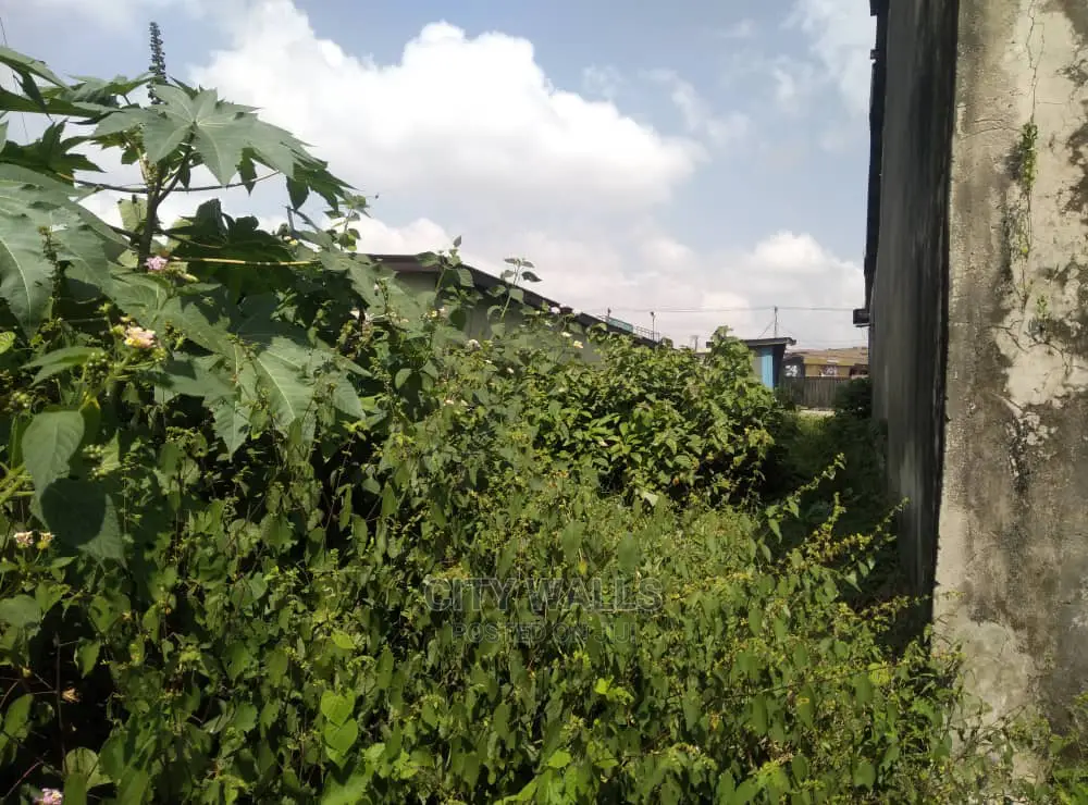 1 Plot of Land for Sale in Lekki Phase 2