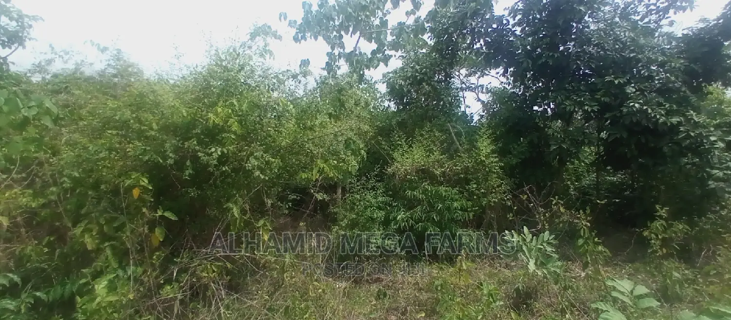 3375.95 Acres of Farmland for Sale at 700,000 Per Acre in Abeokuta North