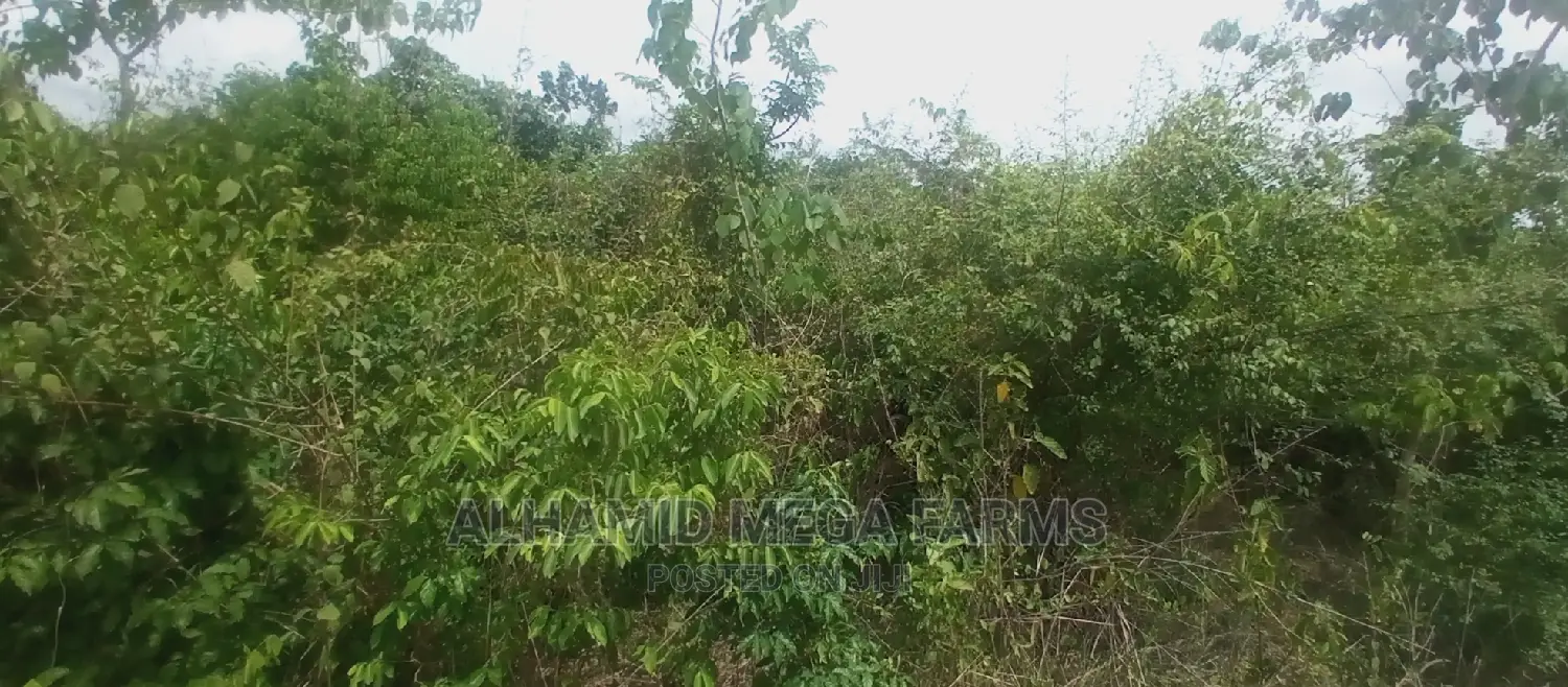 3375.95 Acres of Farmland for Sale at 700,000 Per Acre in Abeokuta North
