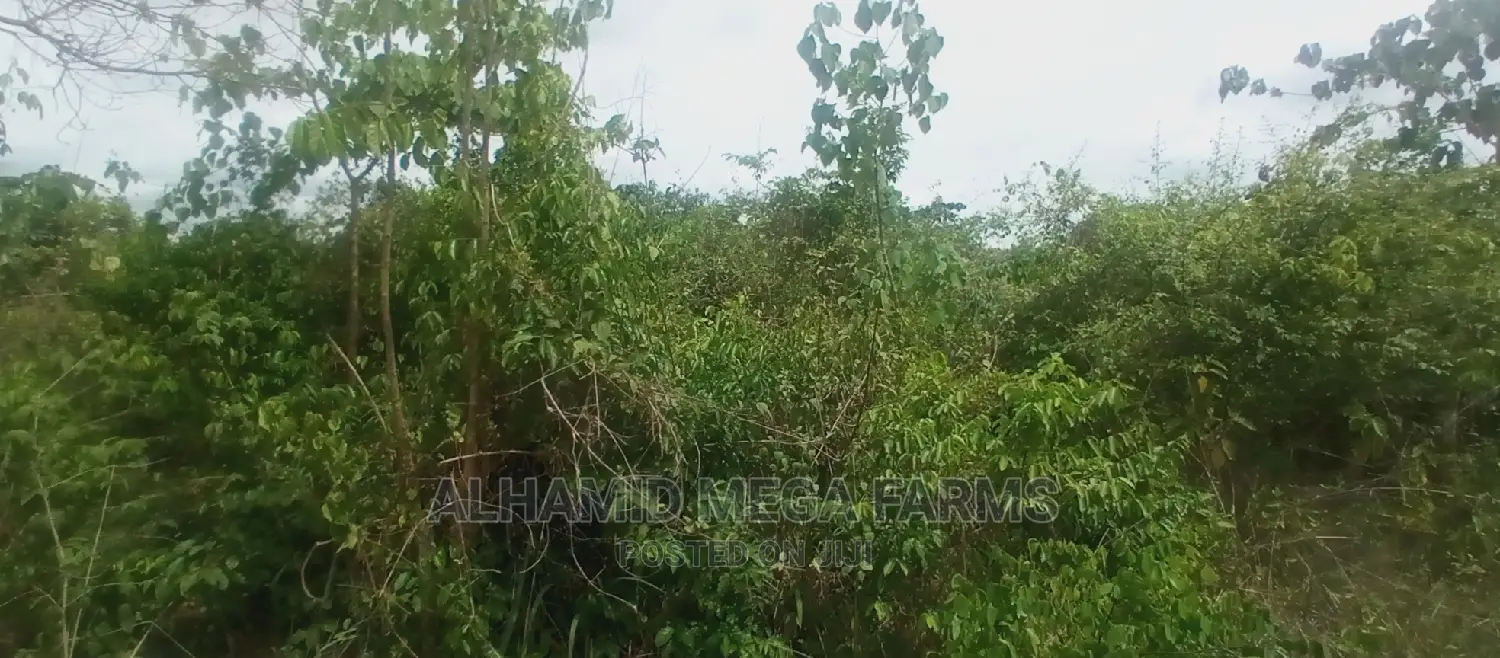 3375.95 Acres of Farmland for Sale at 700,000 Per Acre in Abeokuta North
