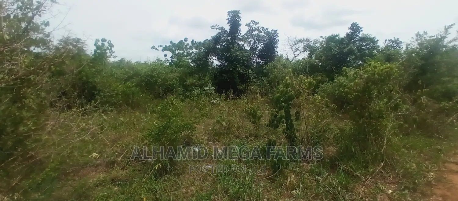 200 Acres of Farmland for Sale at 130,000 Per Acre in Iwajowa