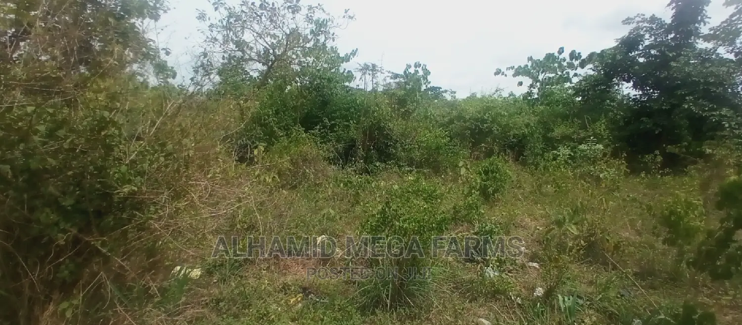 200 Acres of Farmland for Sale at 130,000 Per Acre in Iwajowa
