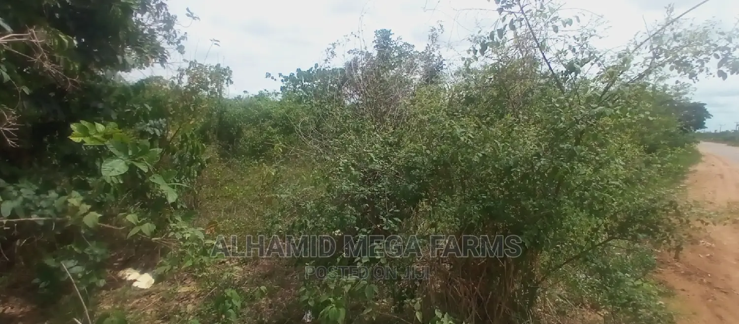 200 Acres of Farmland for Sale at 130,000 Per Acre in Iwajowa