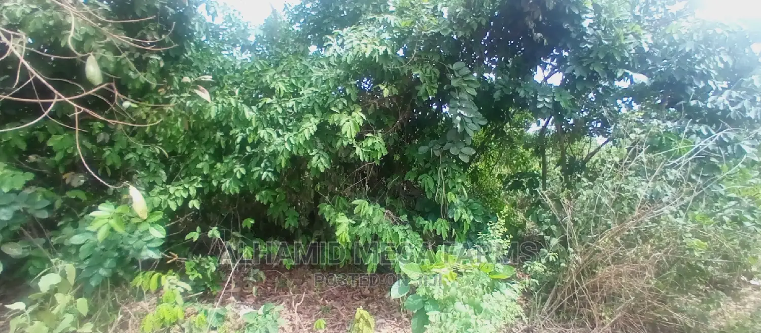 100 Acres of Farm Land at 700,000 in Ilaro