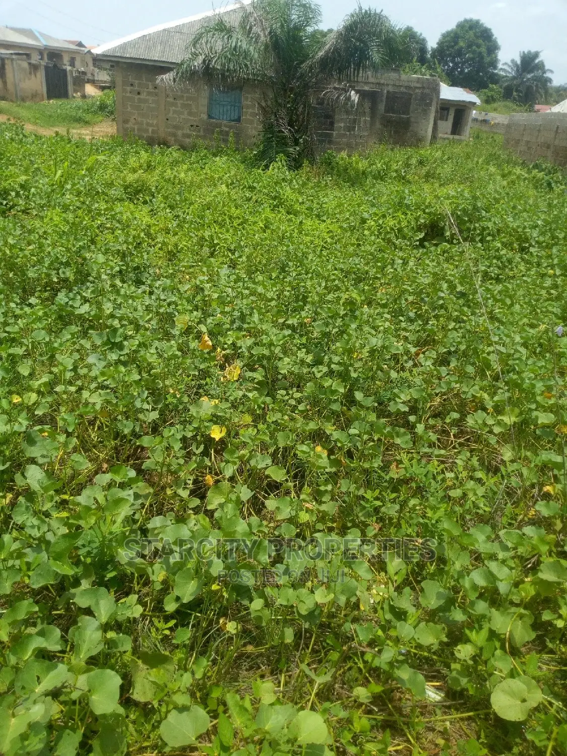 Cheap Plots of Land in Mowe Ogun State Diamond Estate in Obafemi-Owode