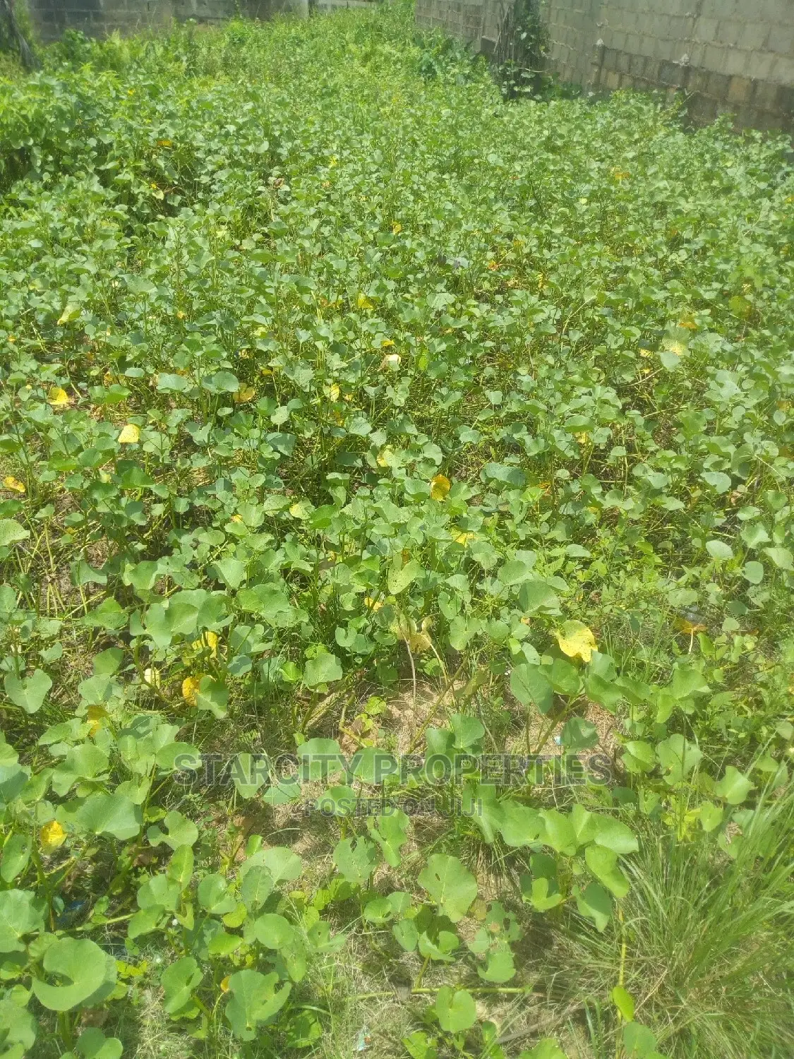 Cheap Plots of Land in Mowe Ogun State Diamond Estate in Obafemi-Owode
