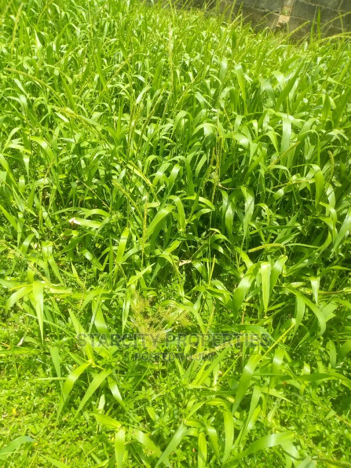 Farm Lands for Sale at Epe Close to Igbonla in Epe