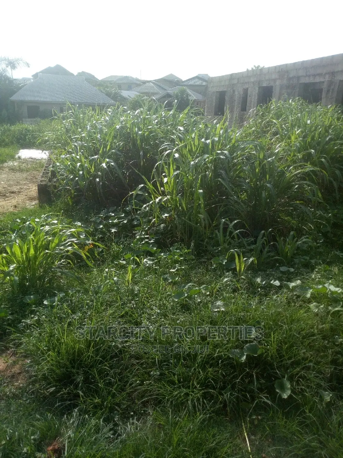 Cheap Plots of Land Available in Araromi Town, Ado Odo Ota in Ado-Odo/Ota