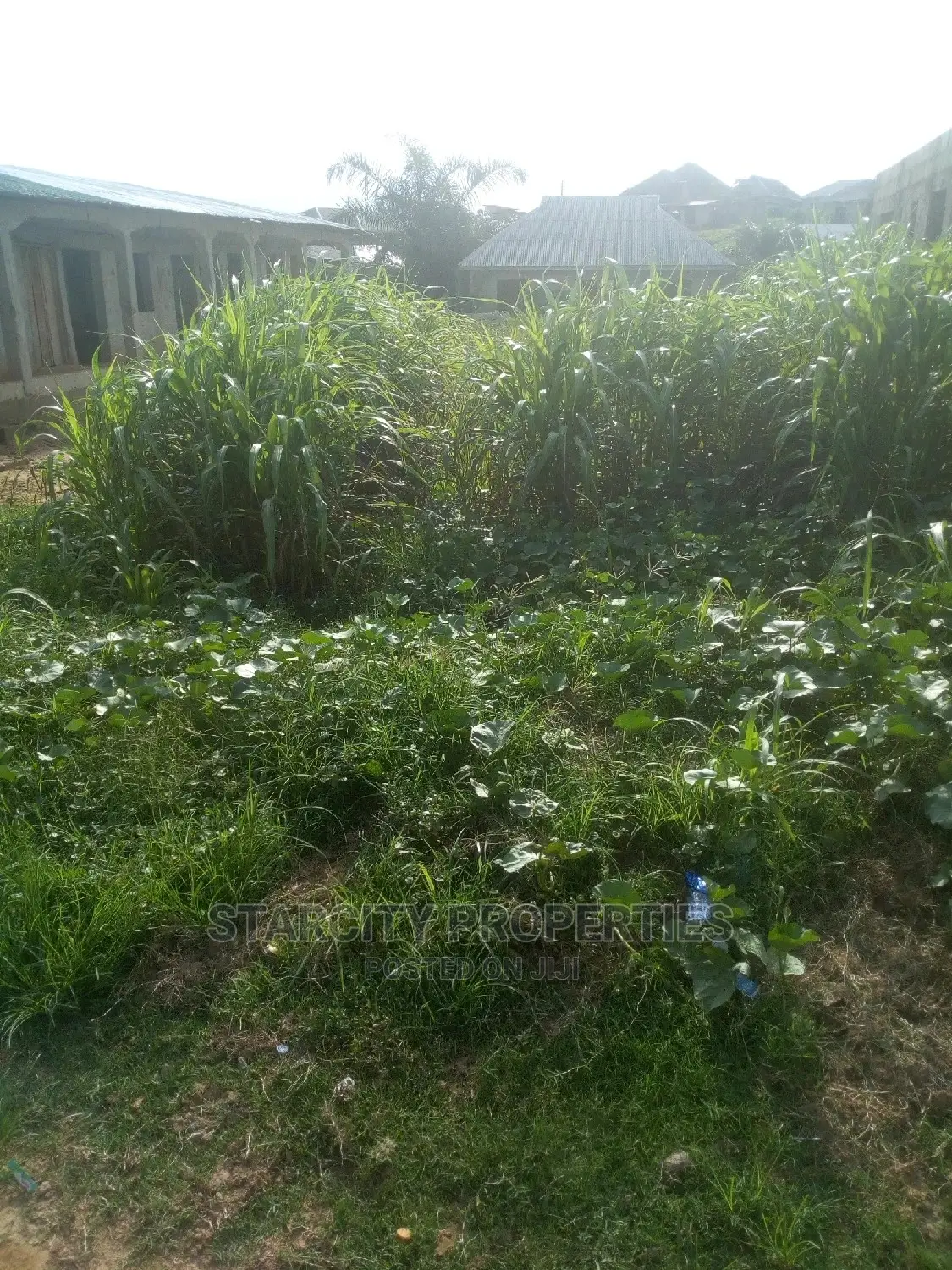 Cheap Plots of Land Available in Araromi Town, Ado Odo Ota in Ado-Odo/Ota