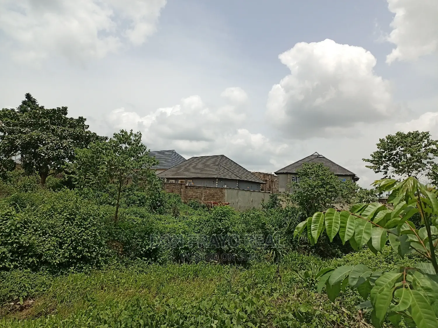 Fishery Farm on 3 Plots for Sale at Oluwo After Iyana Agabla in Ibadan
