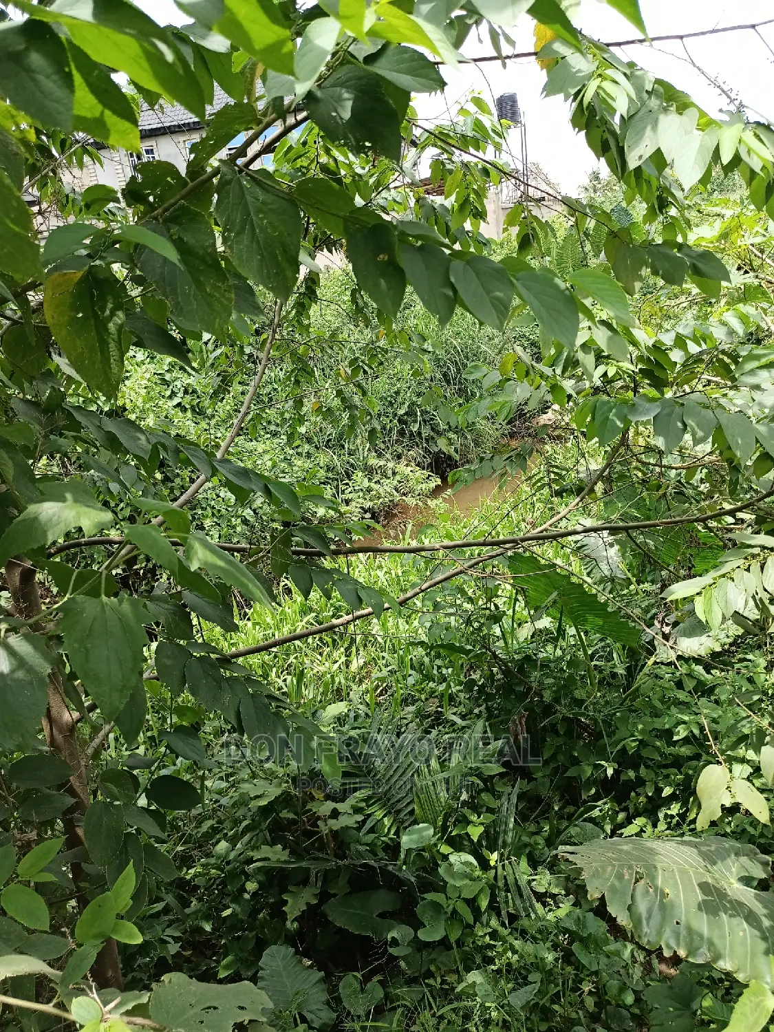 Fishery Farm on 3 Plots for Sale at Oluwo After Iyana Agabla in Ibadan