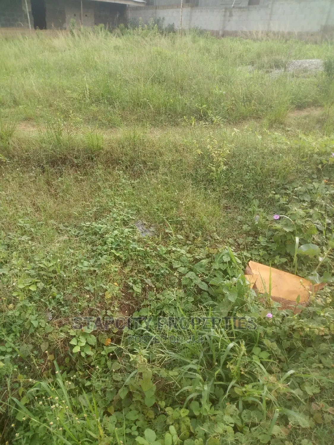 Plots of Land in Groundvitz Polytechnic, Oba,Anambra State in Idemili