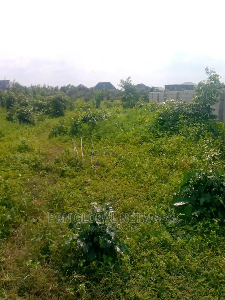 4 Plotof Land for Sale in Owerri