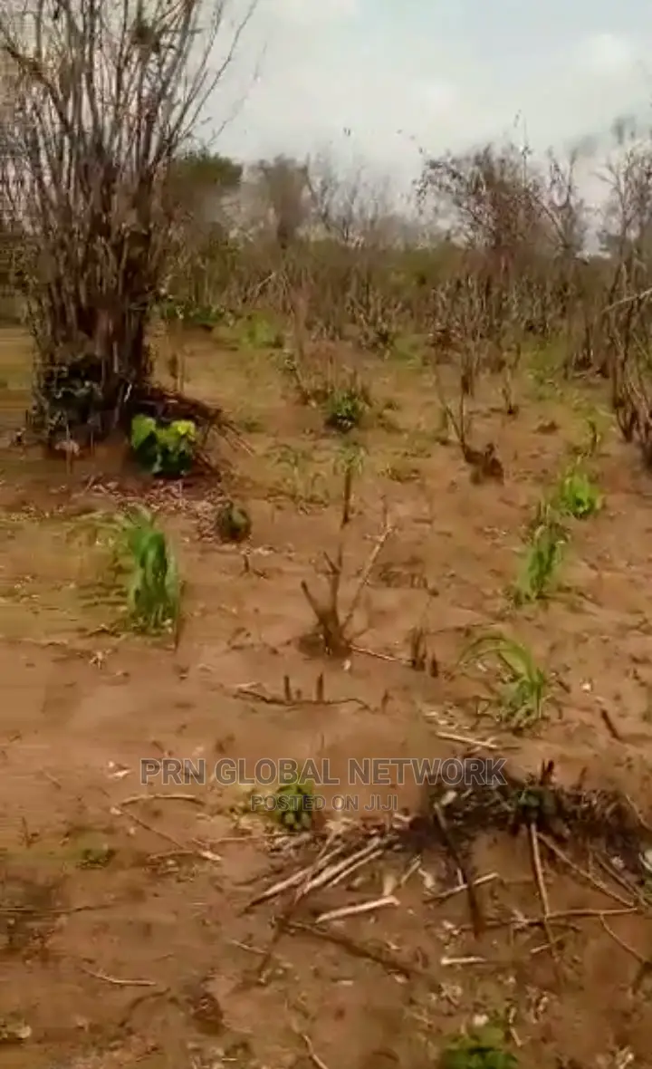 Farmland for Sale in Ngor-Okpala