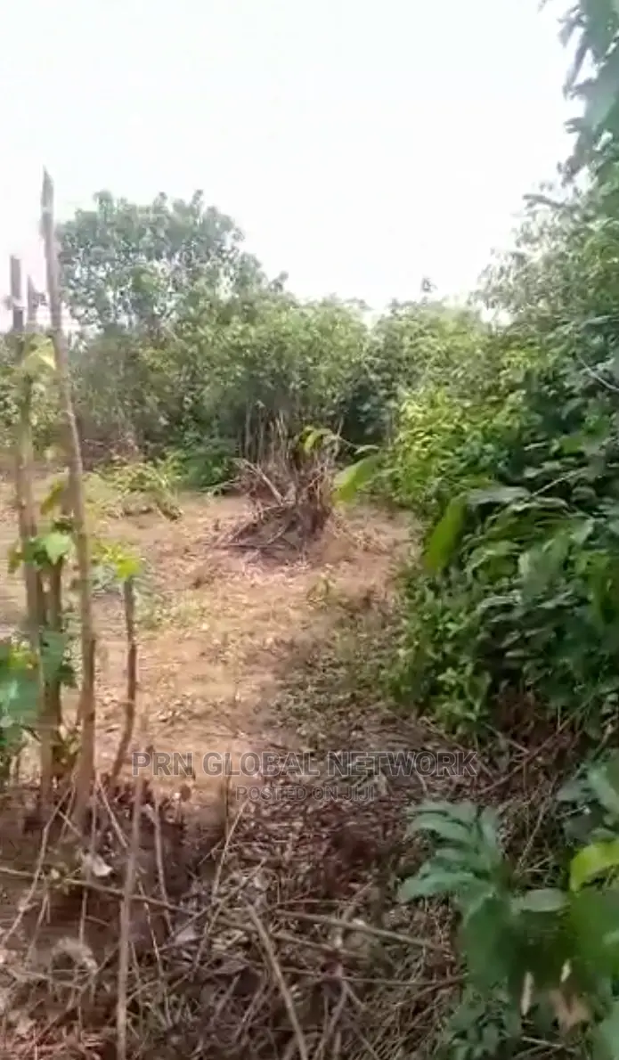 Farmland for Sale in Ngor-Okpala