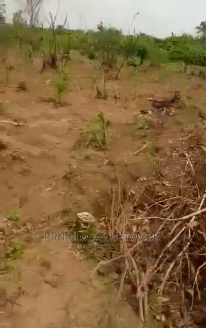 Farmland for Sale in Ngor-Okpala