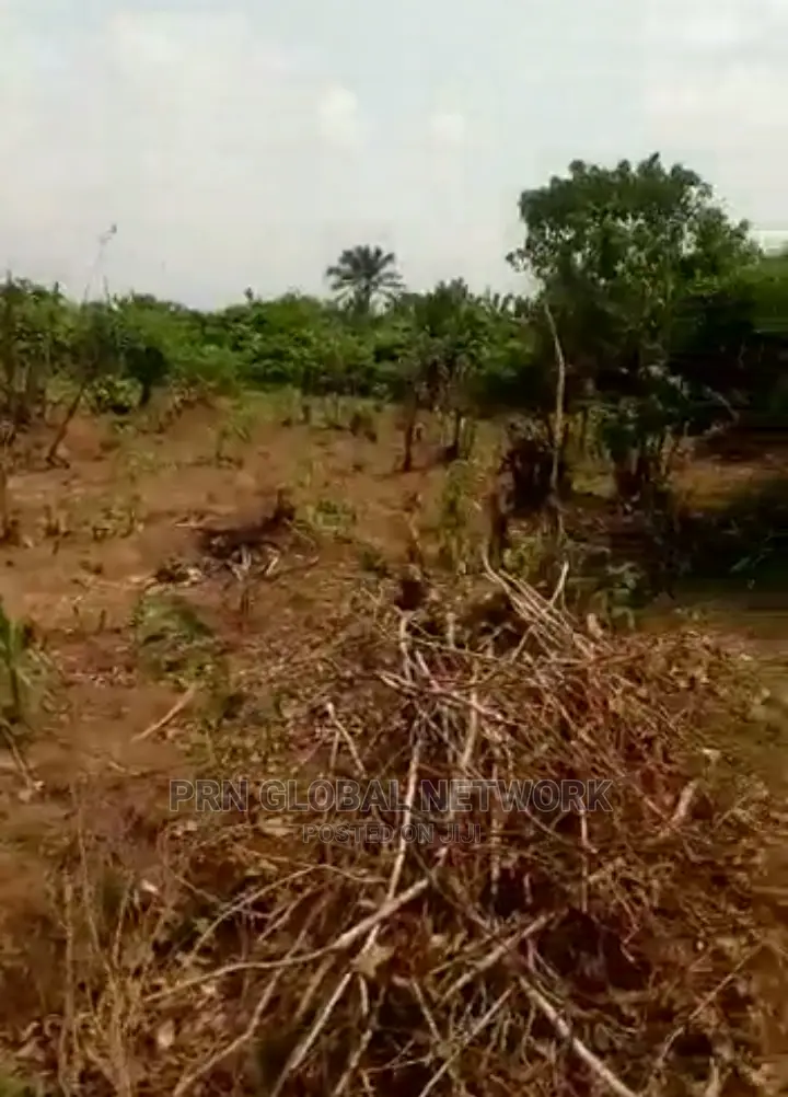 Farmland for Sale in Ngor-Okpala