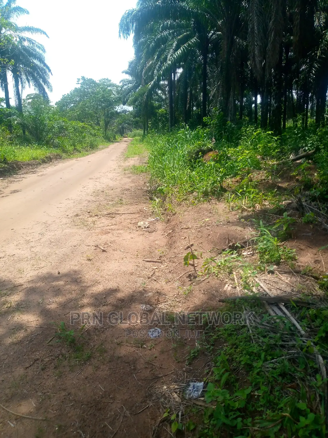 Buy and Build Plot for Sale in Owerri
