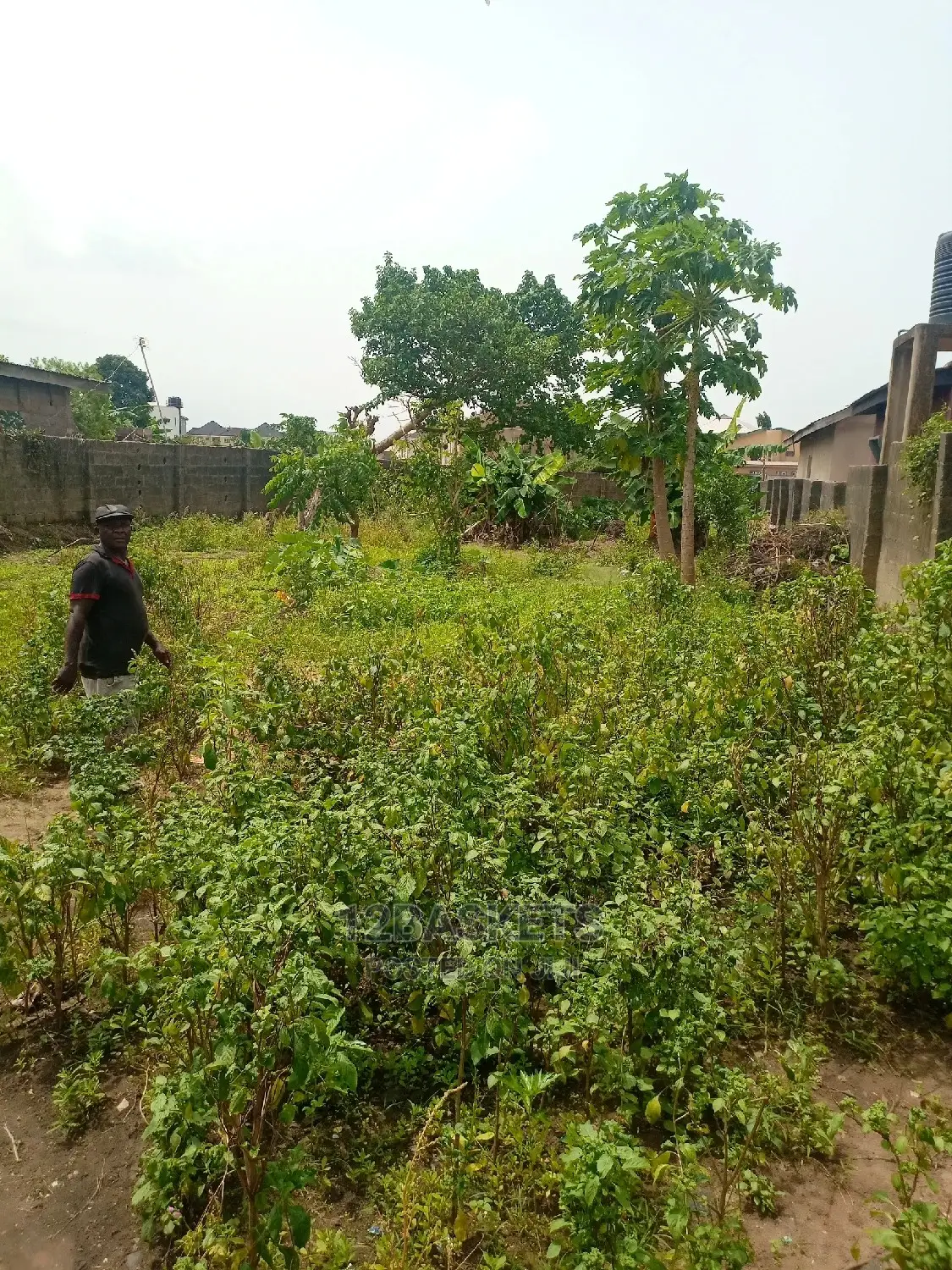 Full Plot of Dry Land for Sale at Orisa, Magodo Phase 1 in GRA Phase 1