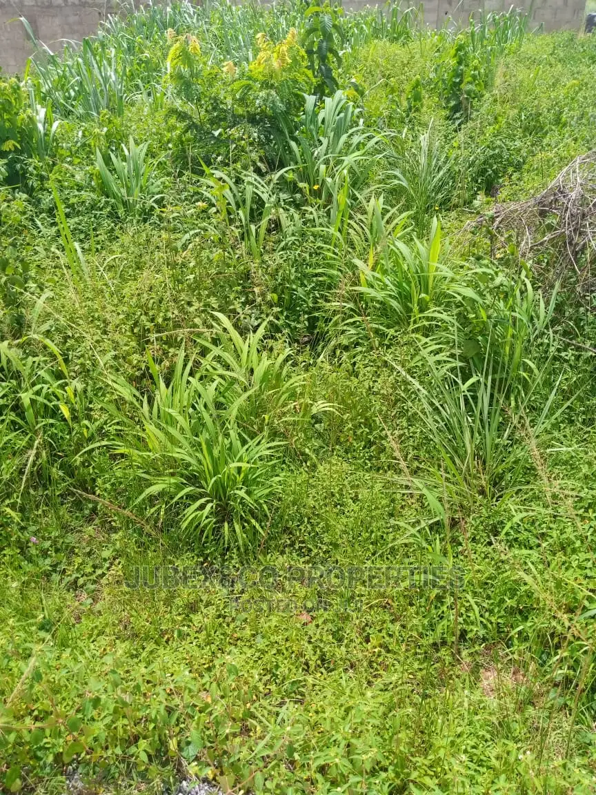 Farm Land Facing Express at Eredo Owode in Ado-Odo/Ota