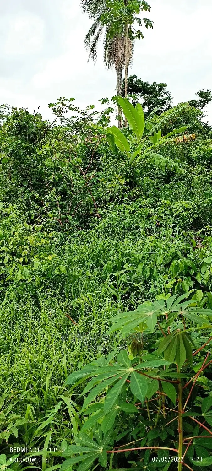 Acres of Greenlands for Sale in Abeokuta South