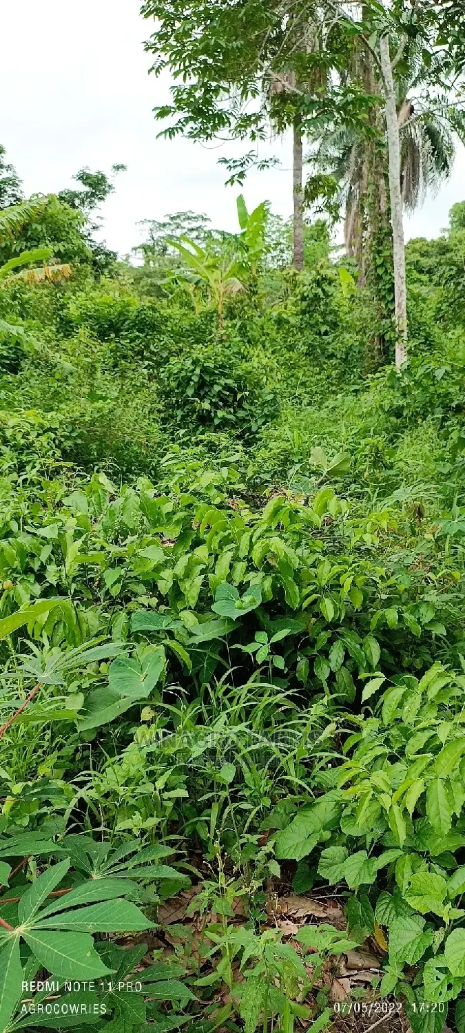 Acres of Greenlands for Sale in Abeokuta South