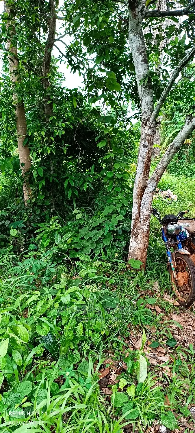Acres of Greenlands for Sale in Abeokuta South