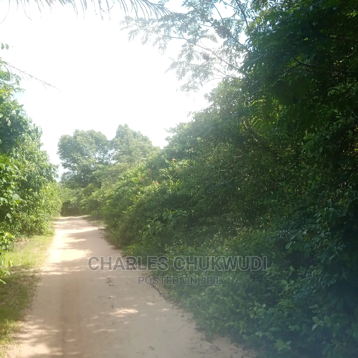 350 Acres for Sale at Ibeju Lekki Lagos in Ibeju