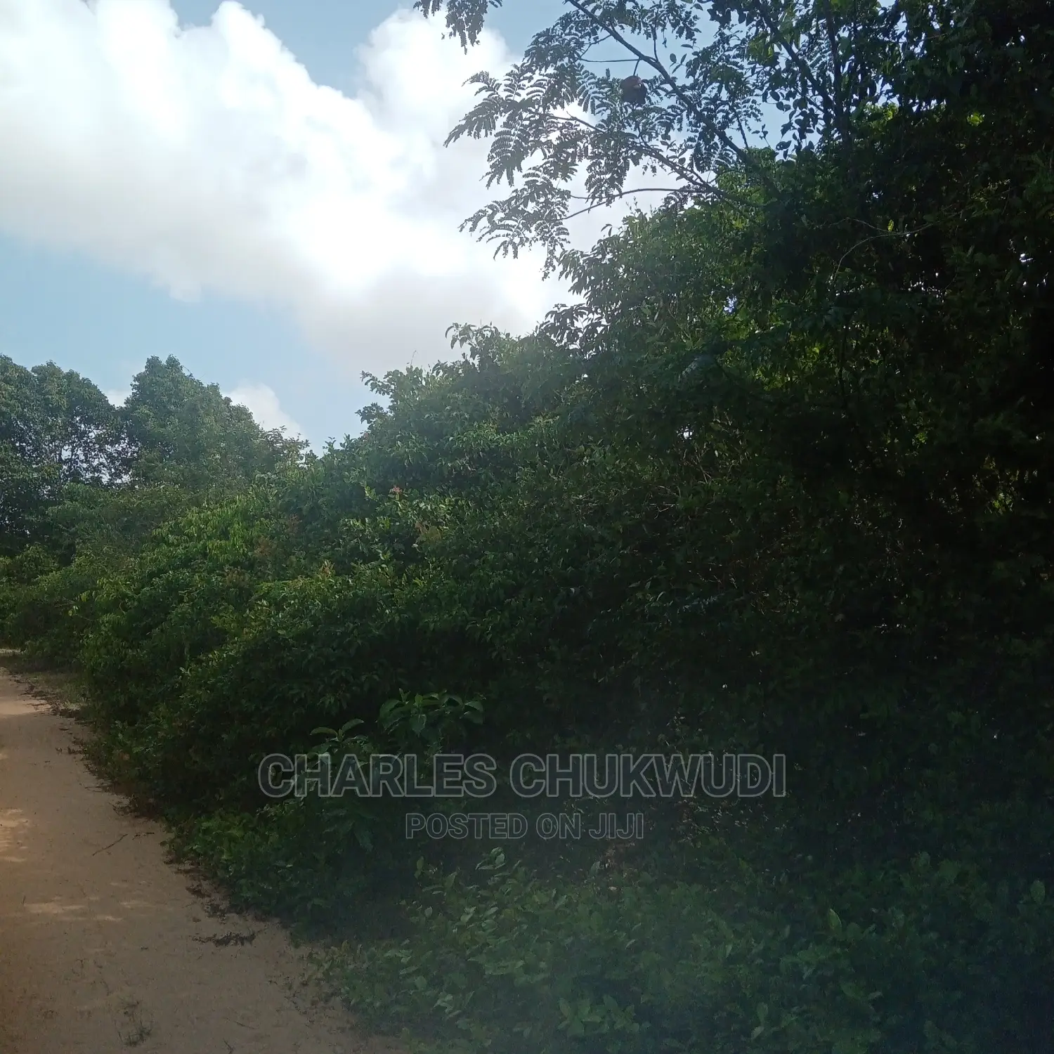 350 Acres for Sale at Ibeju Lekki Lagos in Ibeju