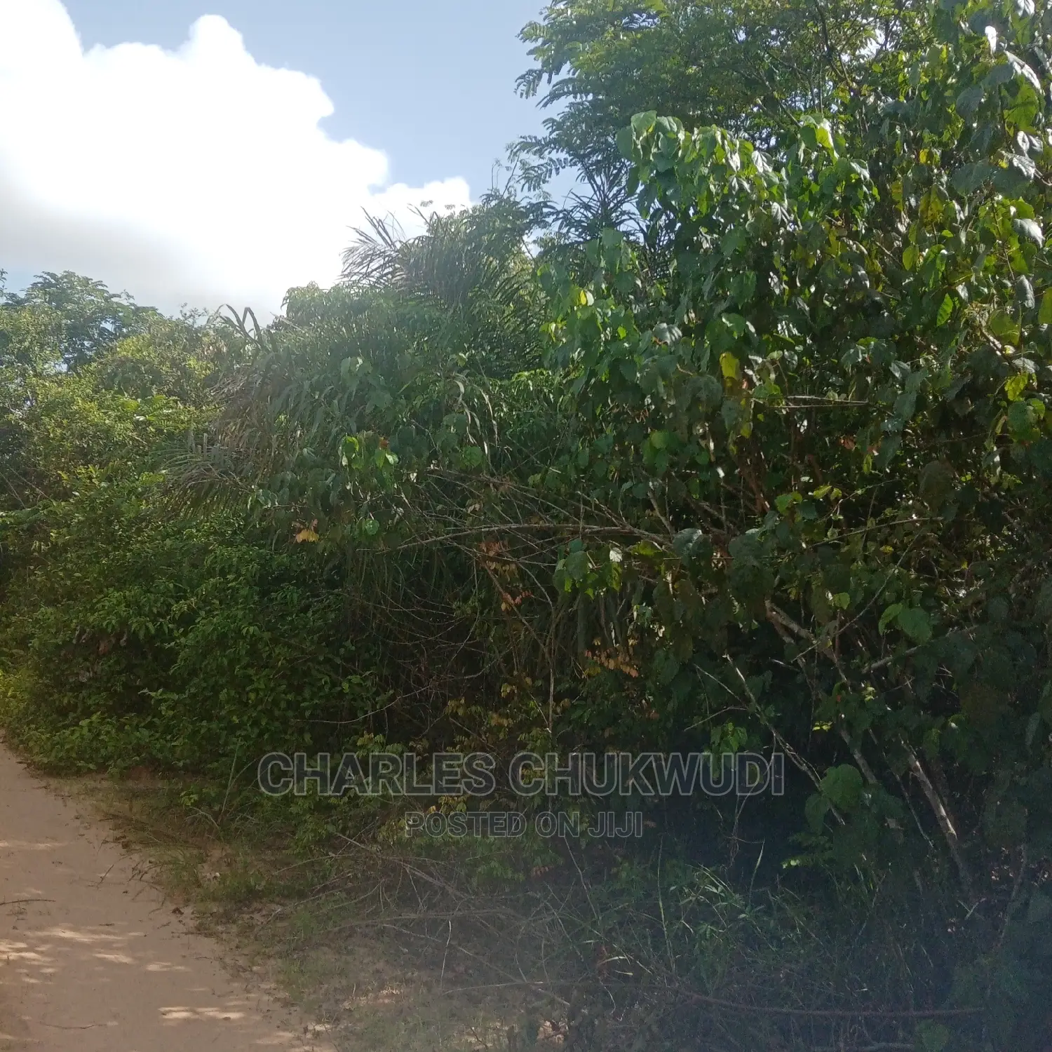 350 Acres for Sale at Ibeju Lekki Lagos in Ibeju