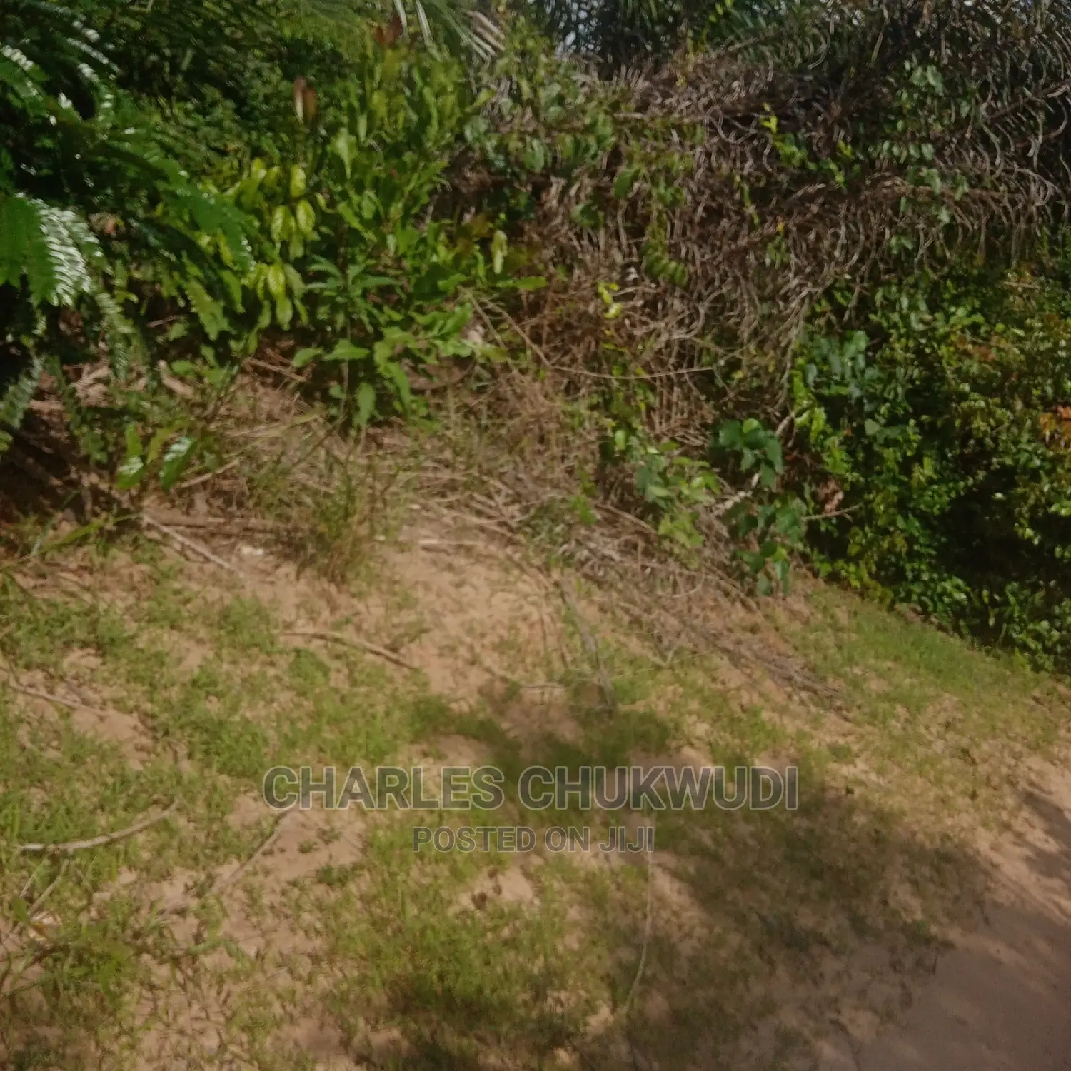 350 Acres for Sale at Ibeju Lekki Lagos in Ibeju