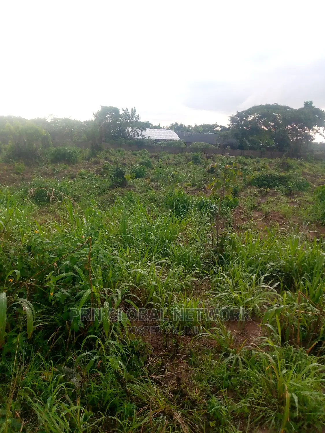 Few Plots of Land Available in Owerri