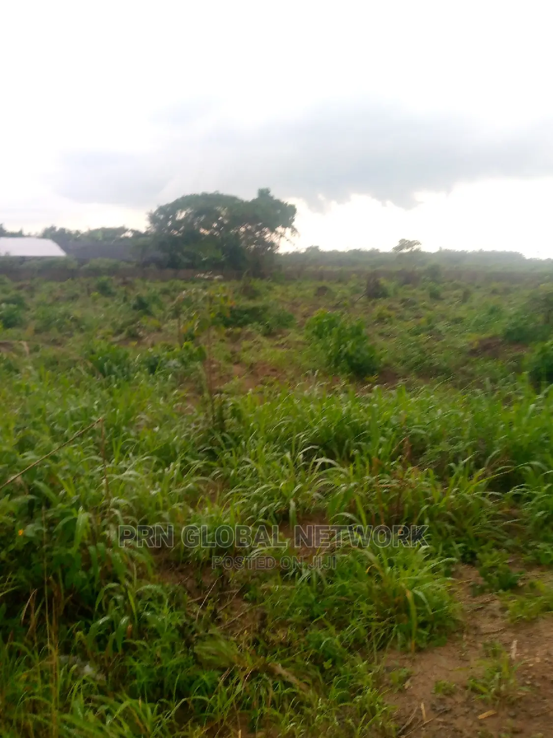 Few Plots of Land Available in Owerri